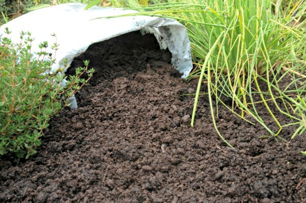 Top Soil - High Quality Top Soil