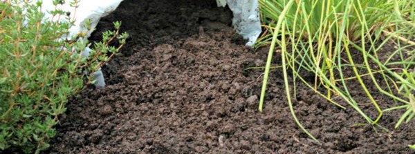 Top Soil and Bark