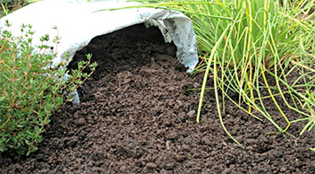 Top Soil & Bark